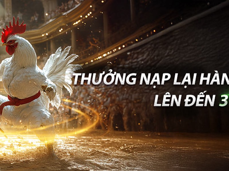 Hoàn trả hàng ngày 77win red